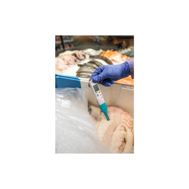 Testo 206-pH3 – pH Meter with BNC Socket