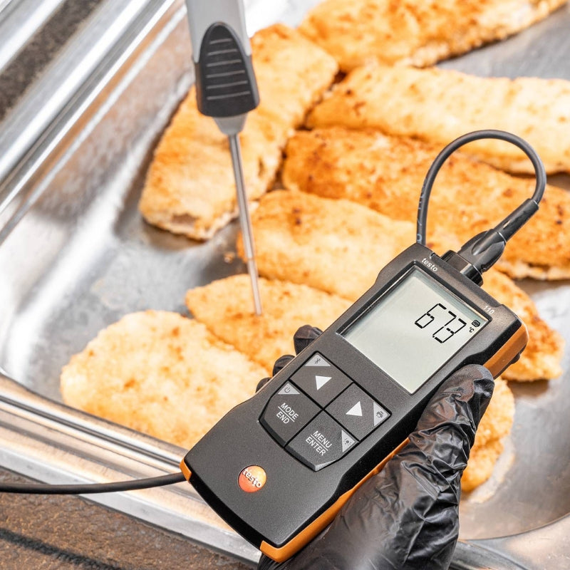 testo 110 NTC and PT100 temperature measuring instrument